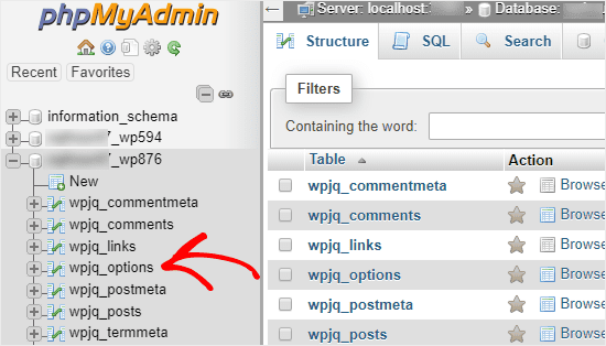phpMyAdmin base de données ouverte et table