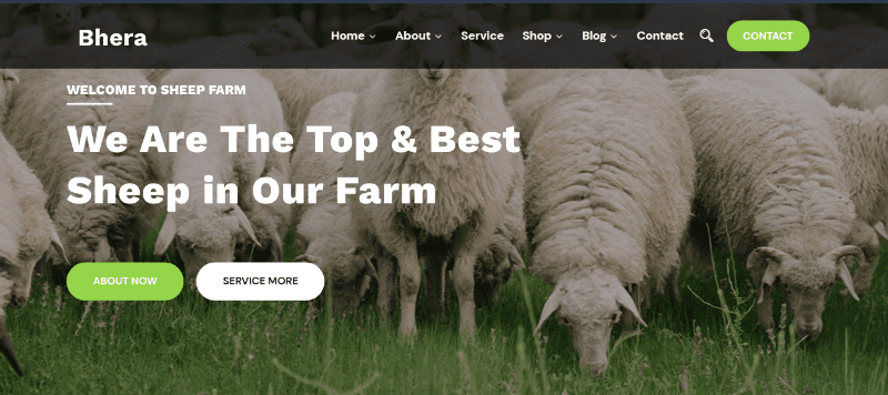 Bhera thèmes WordPress de fermier