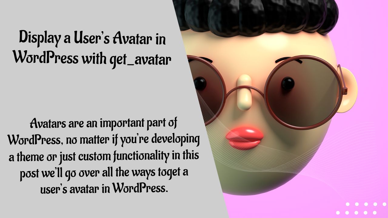 displayuser avatarin wordpress