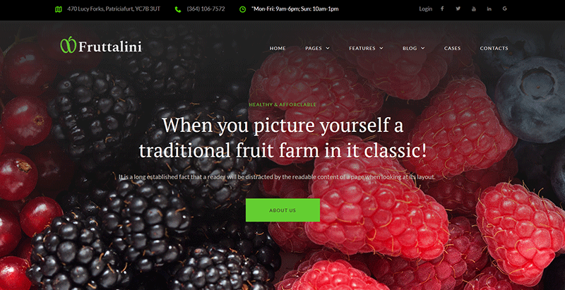 Fruttalini thèmes WordPress d'agriculture