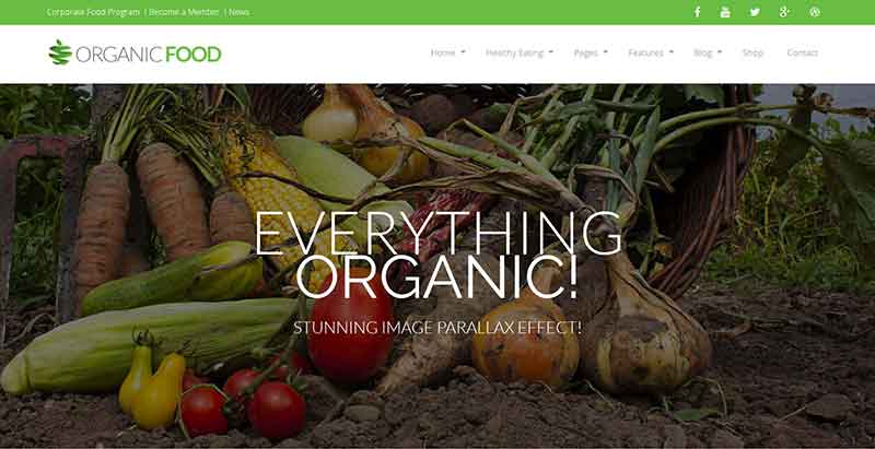 Organic food thèmes WordPress Bio pour un site web