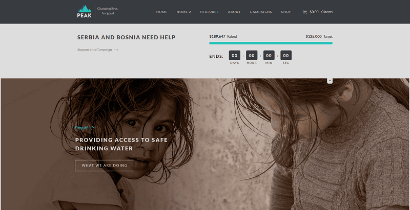 Peak themes wordpress creer site internet organisation humanitaire ong mecene