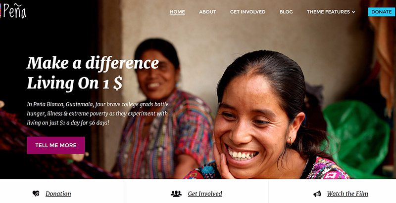 Pena themes wordpress creer site web ong humanitaire