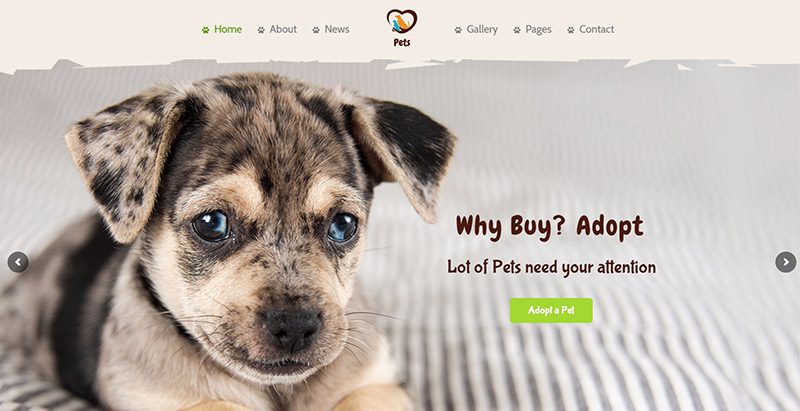 Pets world themes wordpress creer site web eleveur chien animaux veterinaire