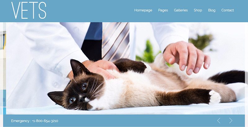 Vets themes wordpress creer site web eleveur chien animaux veterinaire