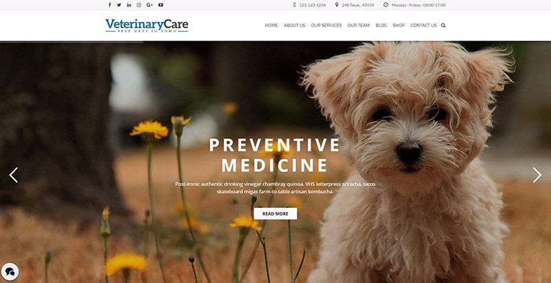 Veterinary care themes wordpress creer site web eleveur chien animaux veterinaire