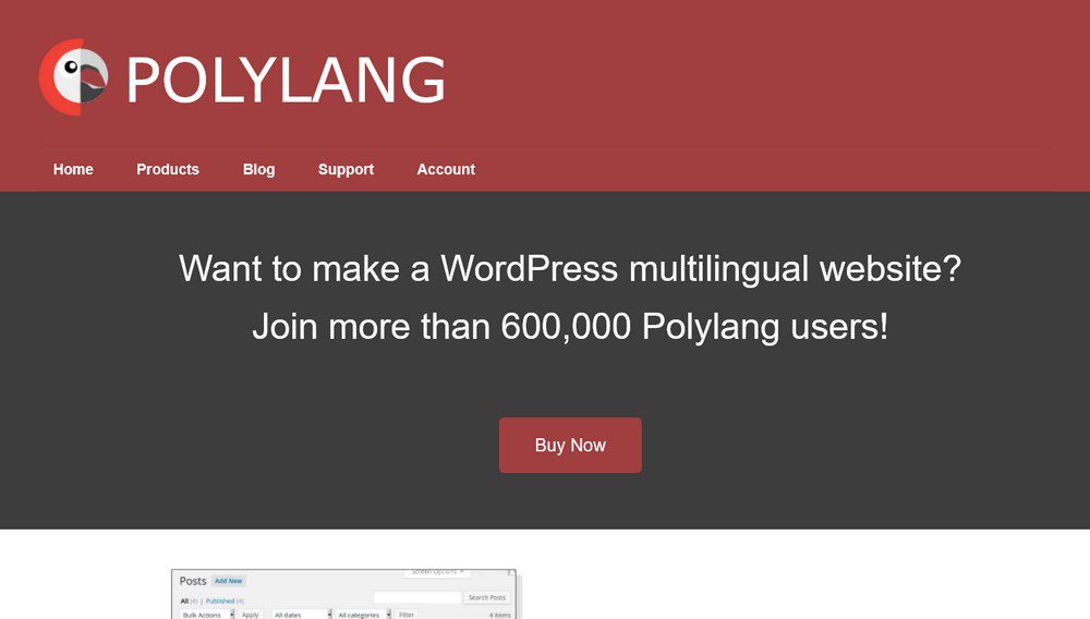 polylang homepage