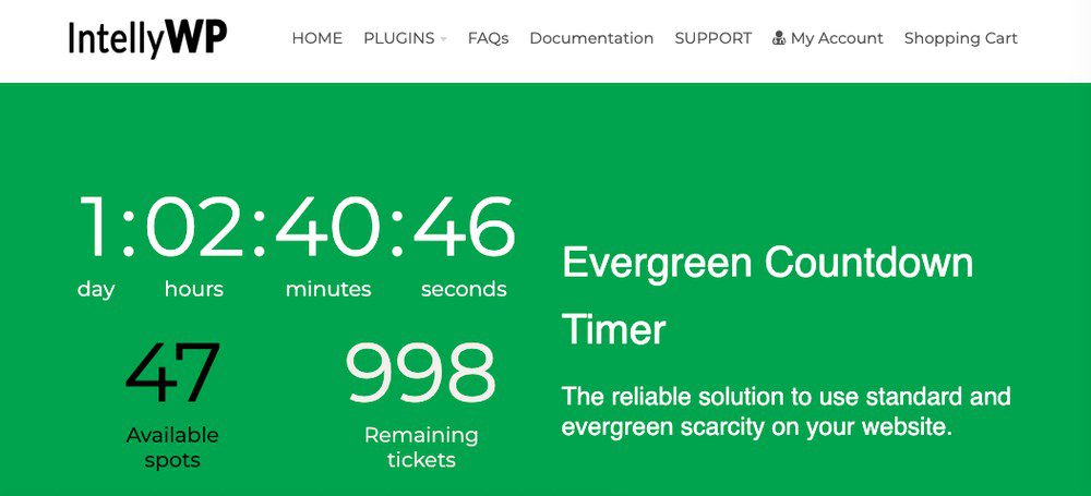 evergreen timer wordpress plugin