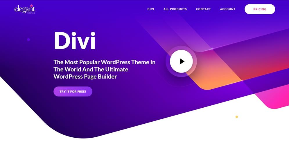 divi theme site