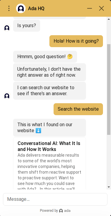 ada chatbot example