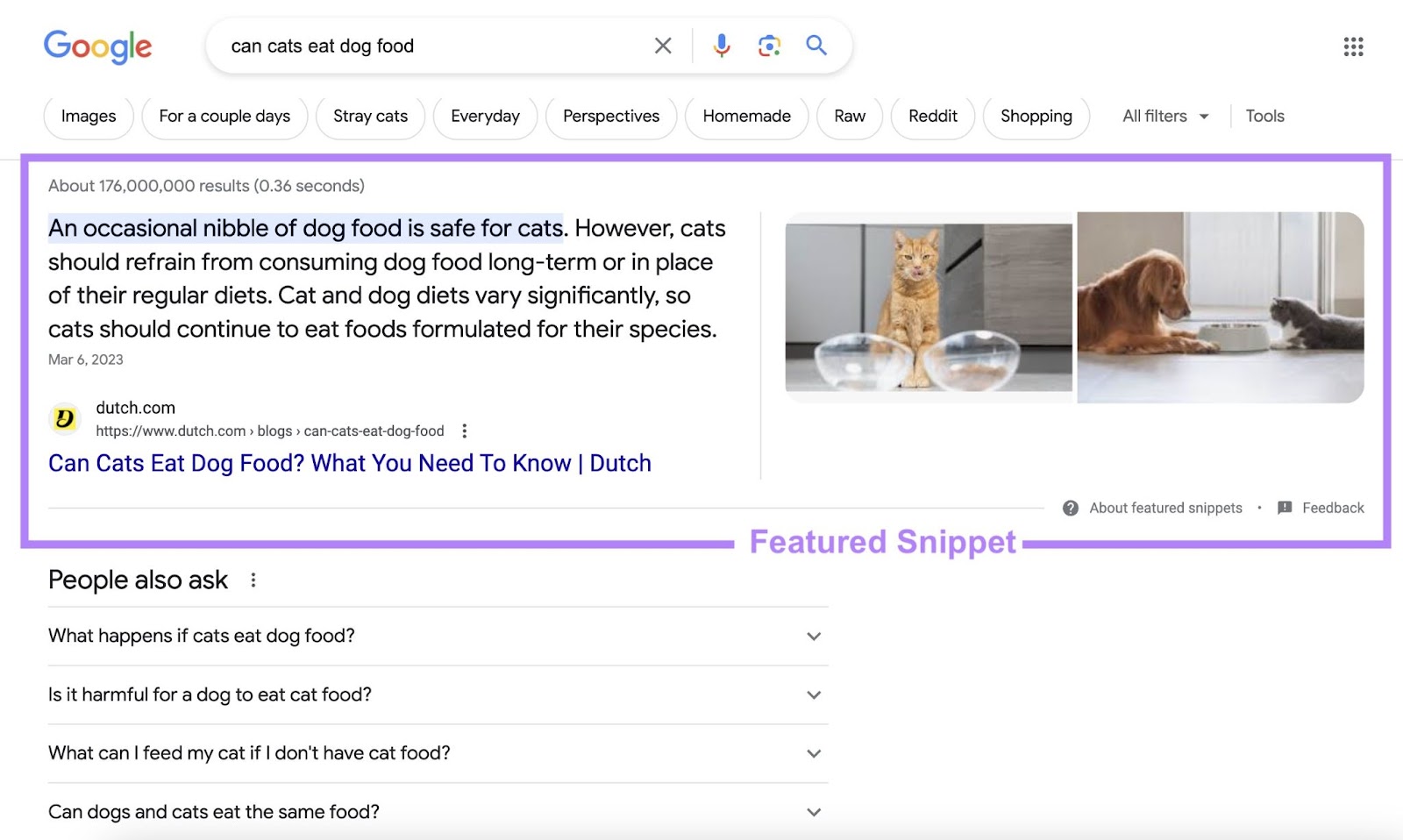 Un résultat d'extrait en vedette sur Google SERP pour la requête « Les chats peuvent-ils manger de la nourriture pour chiens »