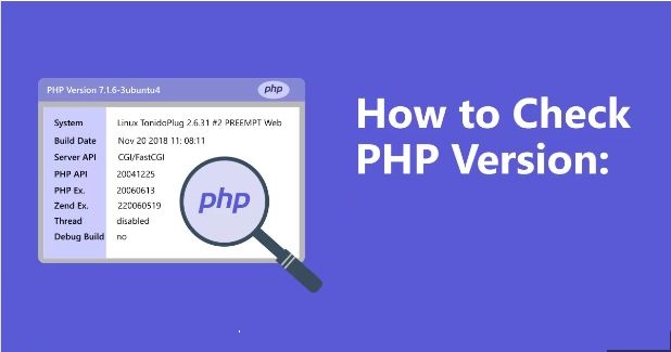 how to check php version and configuration