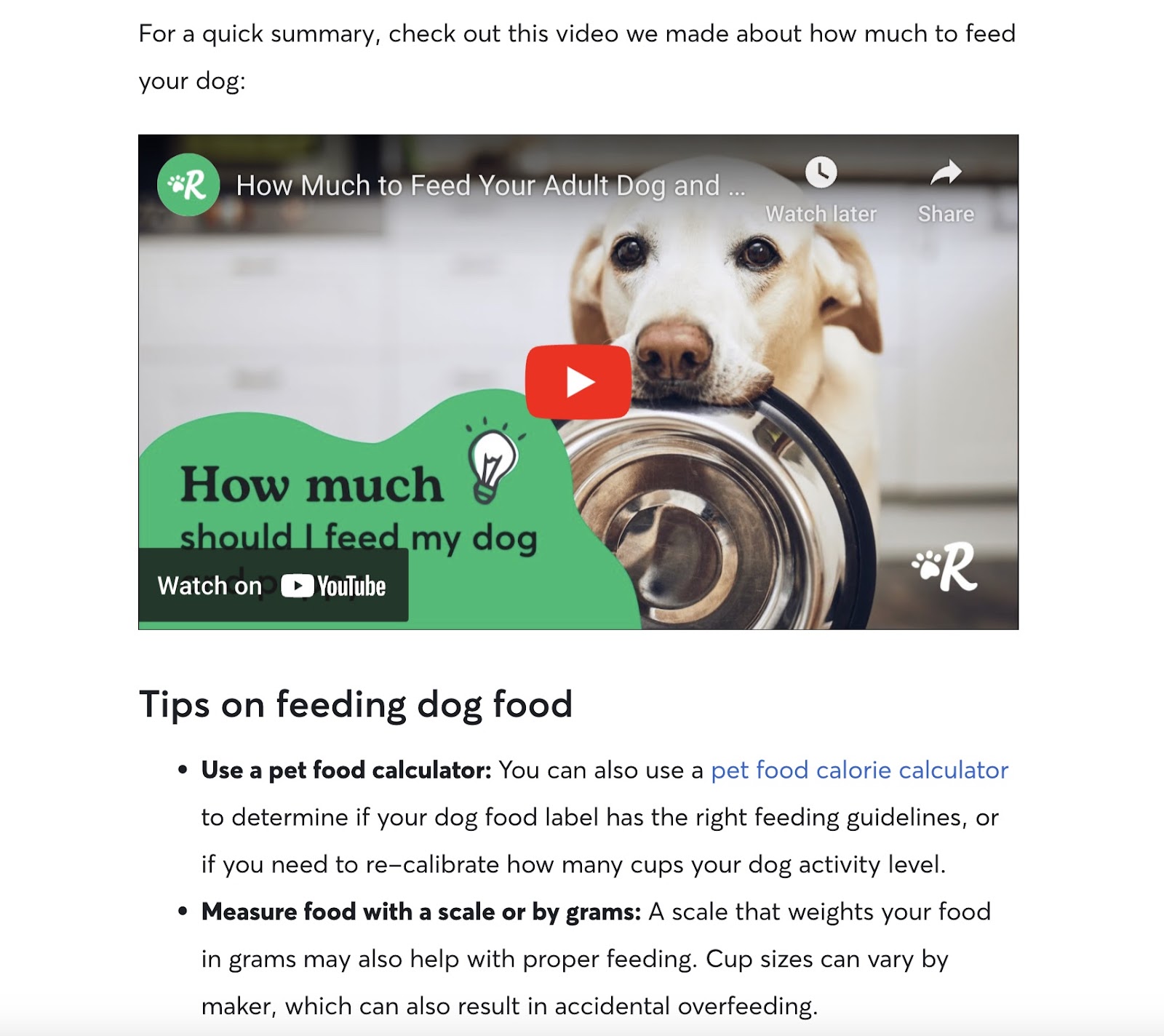 Vidéo de Rover sur le guide d'alimentation des chiens, intégrée à l'article