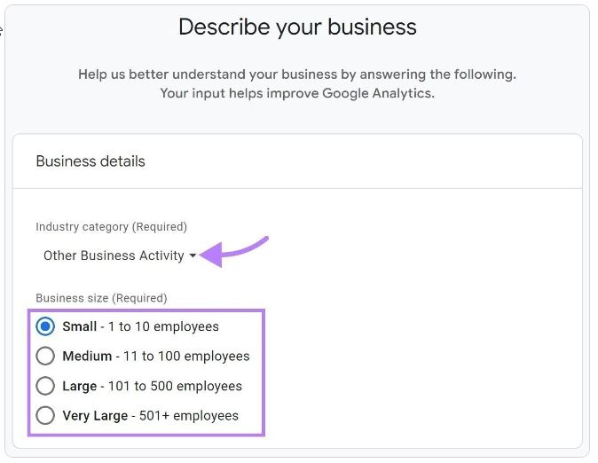 Page "Décrivez votre entreprise" dans Google Analytics