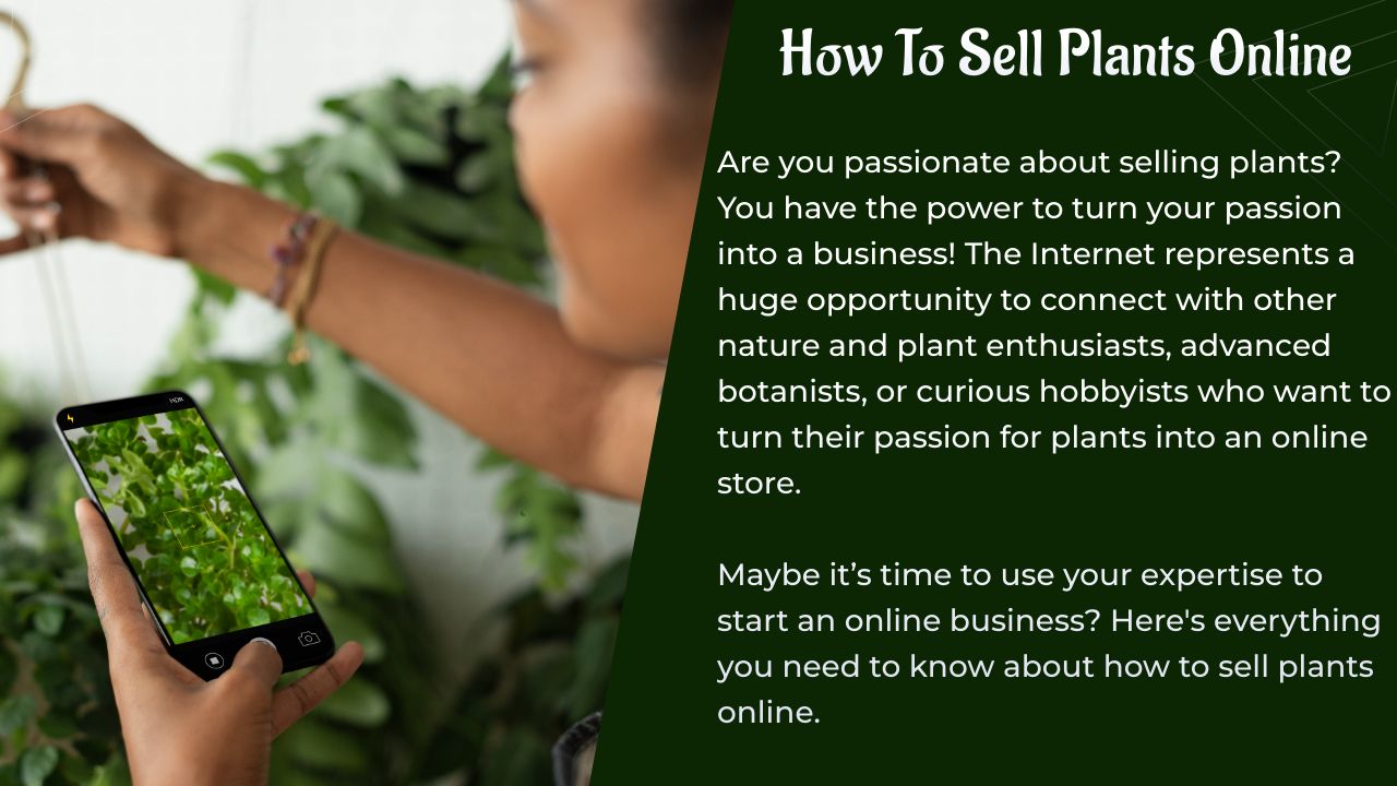 Comment vendre des plantes en ligne depuis chez vous avec votre propre boutique en ligne