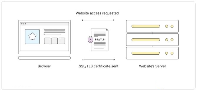 Le serveur d'un site Web envoie un certificat SSL/TLS à un navigateur Web tentant de se connecter au site Web via HTTPS