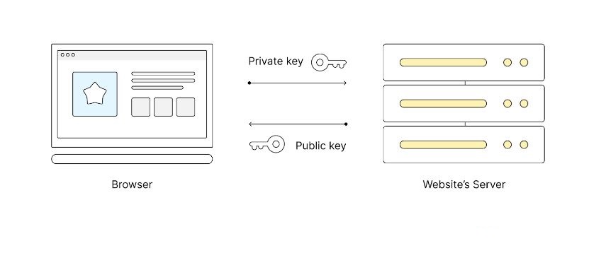 Le navigateur et le serveur du site Web échangent des clés une fois le certificat SSL/TLS vérifié