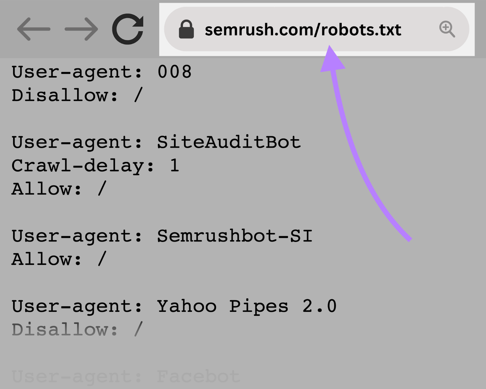 Exemple https://semrush.com/robots.txt