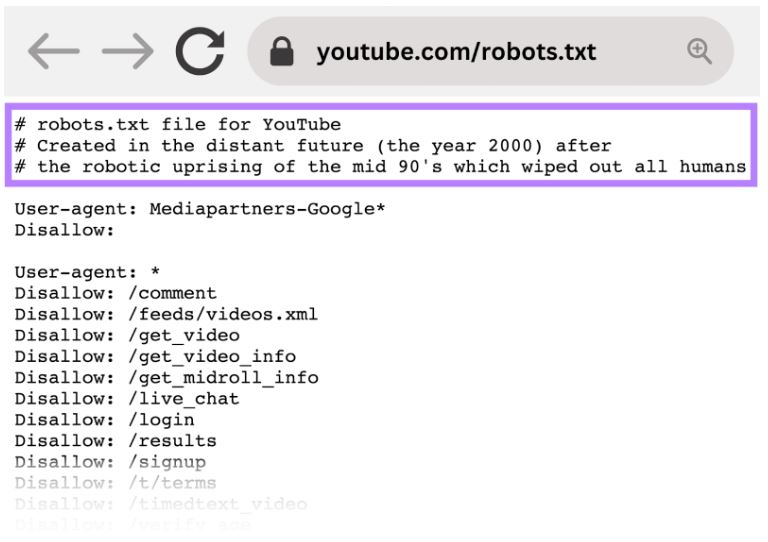 Exemple de fichier robots.txt de YouTube