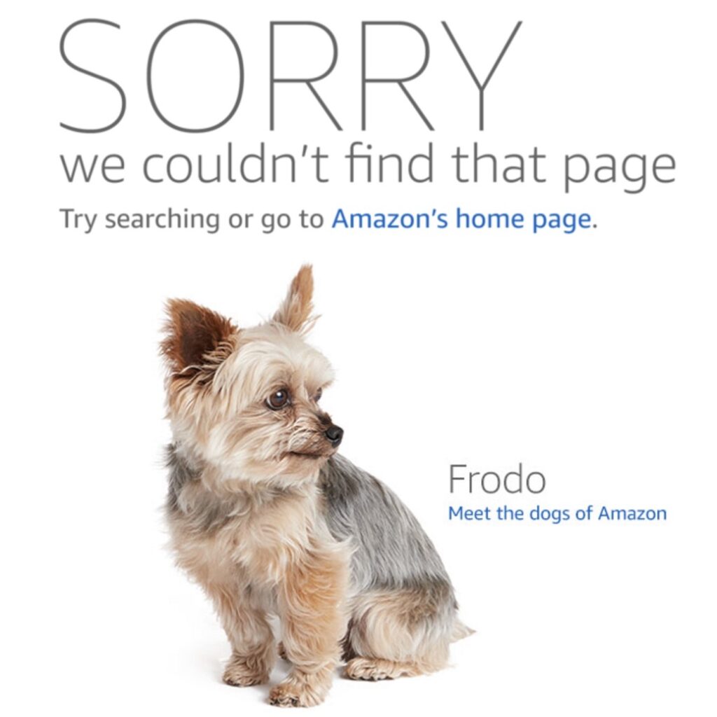 11 Erreurs de liens internes et comment les corriger - Page 404 personnalisée d'Amazon
