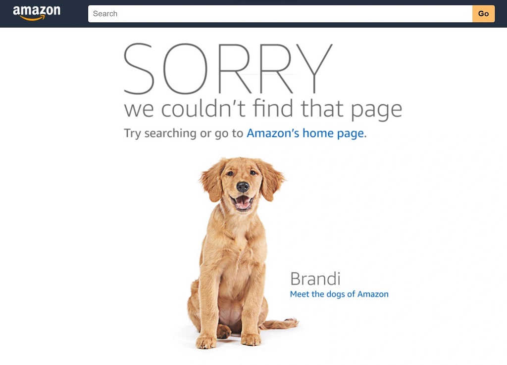 Liens brisés - Erreur 404 sur la page produit d'Amazon