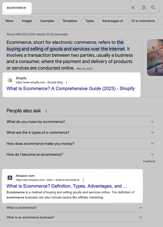 Résultats Google pour Shopify et Amazon mis en évidence dans la requête « e-commerce »