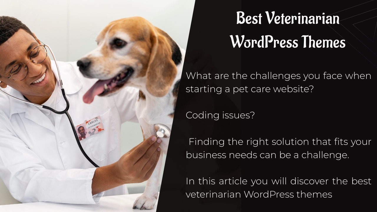 Les meilleurs thèmes WordPress de vétérinaires - 2024