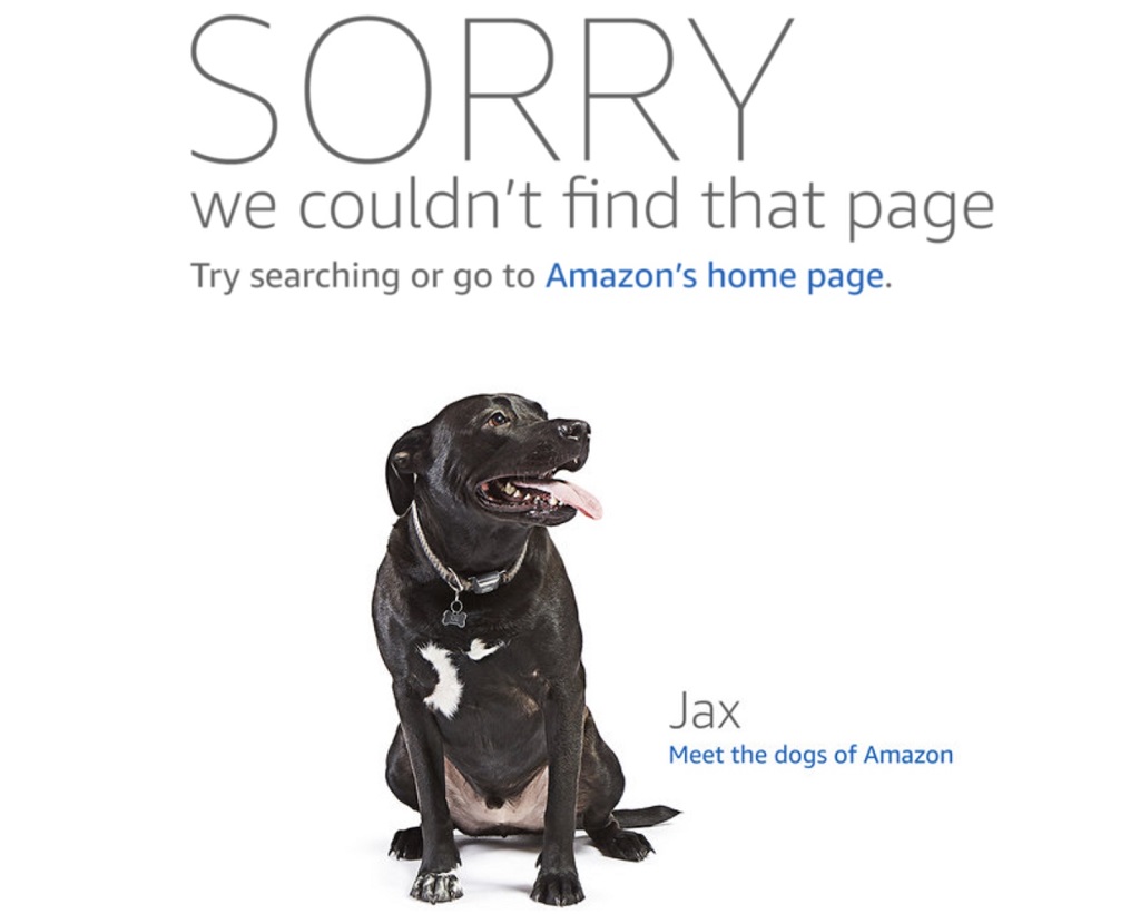 Erreur 404 : Définition, conséquences et solutions - Page d'erreur 404 d'Amazon indiquant "Désolé, nous n'avons pas trouvé cette page. Essayez de rechercher ou accédez à la page d'accueil d'Amazon." avec une image d'un chien