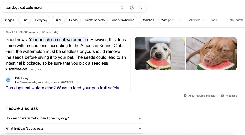 SEO On-Page : Qu'est-ce que c'est et comment le faire ? - Aperçu Google SERP pour « les chiens peuvent-ils manger de la pastèque »