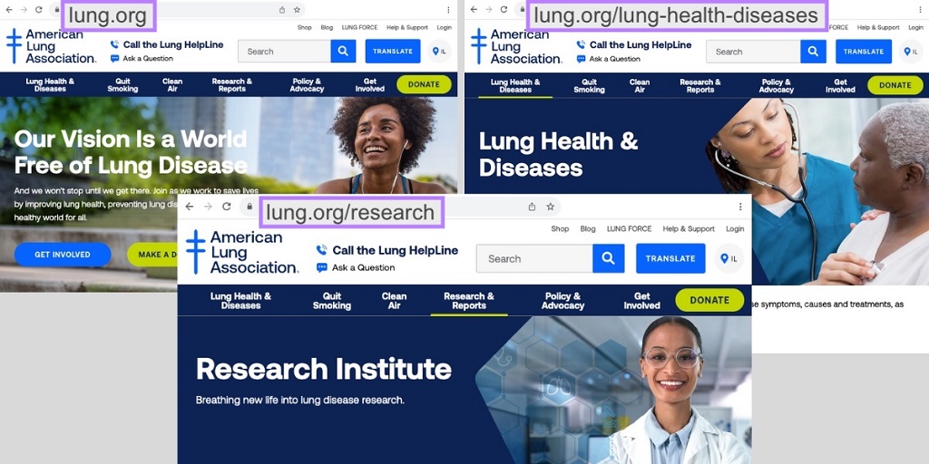 Sous-domaine ou sous-répertoire - Un exemple de trois sous-répertoires de l'American Lung Association