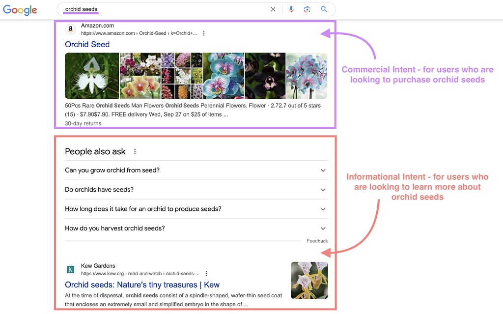 L'intention des mots-clés : qu'est-ce que c'est - Google SERP pour la recherche « graines d'orchidées »