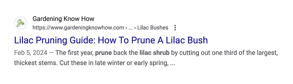 recherches sans clic - La liste des SERP pour le guide de taille des lilas n'affiche pas le balisage du schéma